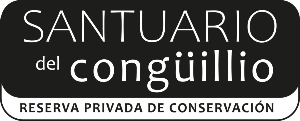 Santuario Conguillio reserva